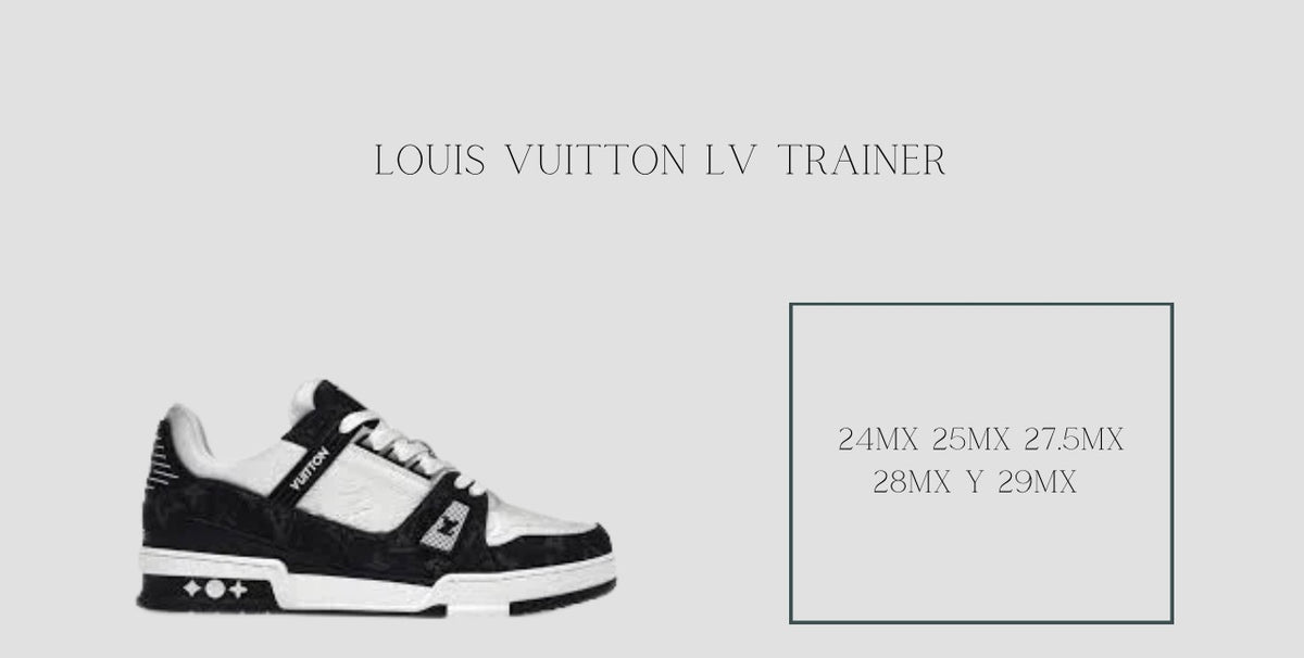 LOUIS VUITTON LV TRAINER