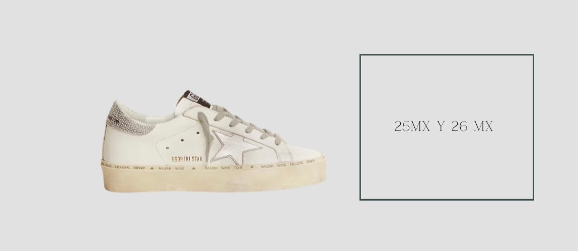 Golden Goose Women’s Hi Star Star & Metallic Silver Heel ✦